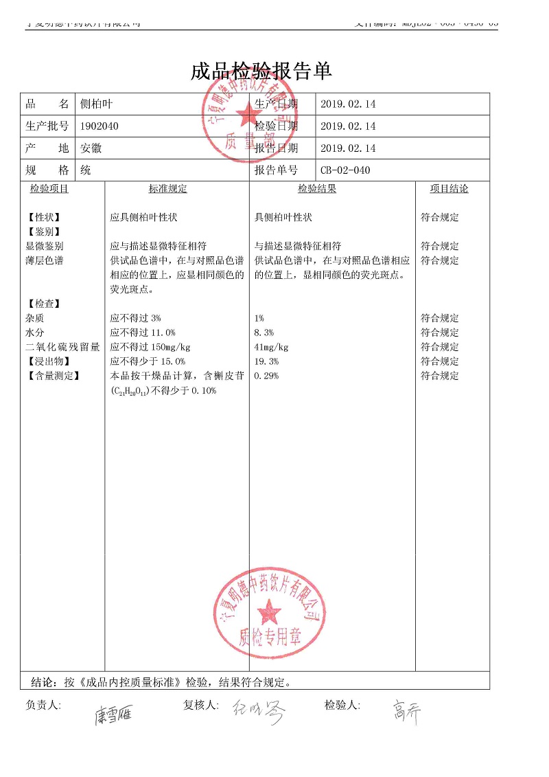 1902040側柏葉.jpg